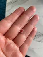 Eckzahn gefunden-Beitrag-Bild