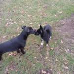 Ersteller:in Anny Profilbild