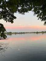 Hundeauslaufgebiet-Ersinger Seen-Bild