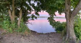 Hundeauslaufgebiet-Ersinger Seen-Bild