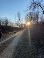 Hundeauslaufgebiet-Schützenverein an der Donau in Leipheim-Bild