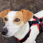 Ersteller:in Mareike Profilbild