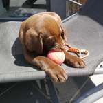 Ersteller:in Andrea Profilbild