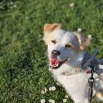 Ersteller:in Lenya Profilbild