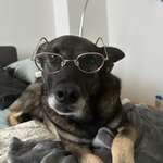 Ersteller:in Mercy Profilbild