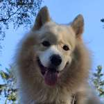 Ersteller:in Lars Profilbild