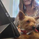 Ersteller:in Daniela Profilbild