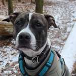 Ersteller:in Julia Profilbild