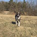 Ersteller:in Hannibal Profilbild