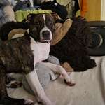 Ersteller:in Sir Profilbild