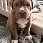 Ersteller:in Jochen Profilbild