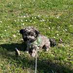 Ersteller:in Nadine Profilbild