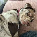 Ersteller:in Marie Profilbild