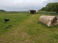 Hundeauslaufgebiet-Eckwaderhörne-Bild