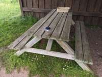 Hundeauslaufgebiet-Eckwaderhörne-Bild