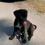 Ersteller:in Eule Profilbild