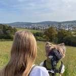 Ersteller:in Maja Profilbild