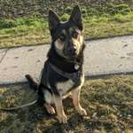 Ersteller:in Diana Profilbild