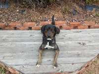 Ersteller:in Sammy Profilbild