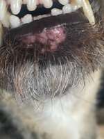 Ausschlag-Beitrag-Bild