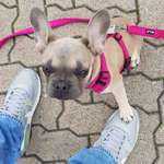 Ersteller:in Dennis Profilbild