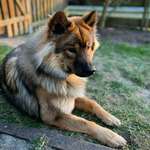 Ersteller:in Anika Profilbild