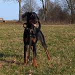 Ersteller:in Ramona Profilbild