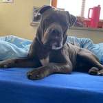 Ersteller:in Anna Profilbild