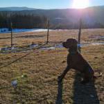 Ersteller:in Gianpiero Profilbild