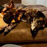 Ersteller:in Andre Profilbild