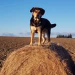 Ersteller:in Mandy Profilbild