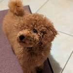 Ersteller:in Kira Profilbild