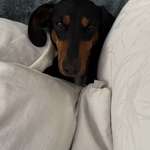 Ersteller:in Nina Profilbild