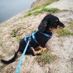 Ersteller:in Lina Profilbild