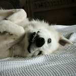 Ersteller:in conny. Profilbild