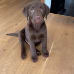 Ersteller:in Michelle Profilbild