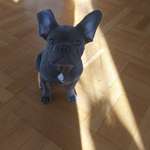 Ersteller:in Agnes Profilbild