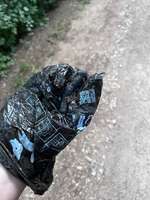 Grau/Schwarzer Kot-Beitrag-Bild