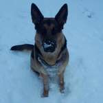 Ersteller:in Mel Profilbild