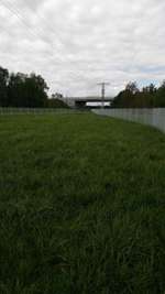 Hundeauslaufgebiet-Bürstadt-Bild