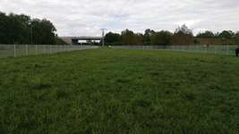 Hundeauslaufgebiet-Bürstadt-Bild