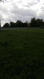 Hundeauslaufgebiet-Bürstadt-Bild