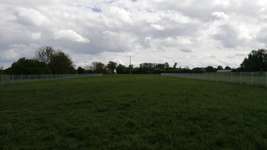 Hundeauslaufgebiet-Bürstadt-Bild