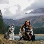 Ersteller:in Antonie Profilbild