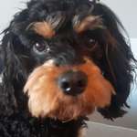 Ersteller:in Malgorzata Profilbild