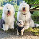 Ersteller:in Nathalie Profilbild