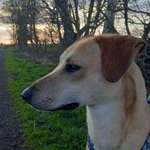 Ersteller:in Elke Profilbild