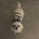 Ersteller:in Sabaheta Profilbild