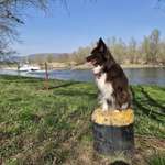 Ersteller:in B. Profilbild