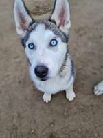 Ein Augen mehr offen als das andere, normal?-Beitrag-Bild